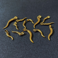 Charmes bohèmes délicats de 23 mm, 35 mm, 40 mm, pendentifs porte-bonheur en forme de poivre, acier inoxydable, cornicello, pendentif en corne italienne, hommes, or 18 carats