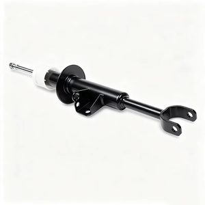 31316866645 31316866646 Pièces automobiles Amortisseur avant gauche/droit pour BMW Série 5 G30 G38 - Product Image 1
