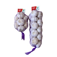 Prix CIF 2026 pour l'ail blanc de Valparaíso au Chili, ail blanc pur frais chinois 4p