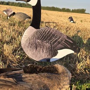 Sarcelle bacon lys fendu gris manche à air floqué sac flottant chasse specklebelly canada silhouette leurres d'oie des neiges - Product Image 3