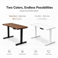 Bureau debout électrique réglable en hauteur de qualité supérieure personnalisé 120x60cm, table de bureau ergonomique avec contrôleur de mémoire