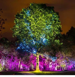 Đèn Chiếu Sáng Lối Đi Ngoài Trời Chống Nước Phong Cách Mới Đèn Chôn Đất Đèn Pha Rgb - Product Image 6