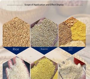 Moulin à riz commercial N70, polisseuse à riz, Afrique - Product Image 6