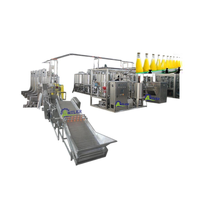 Industriële Passievruchtensap Productielijn Natuurlijke Vruchtensapmachine