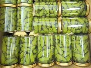 Conos de Incienso de Eucalipto Orgánico Ecológicos Hechos a Mano, Hojas Naturales, Aroma Suave para Meditación y Yoga, Impresión de Logotipo OEM - Product Image 6