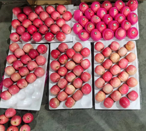 Chất lượng hàng đầu táo đỏ Fuji táo mật ong ngon ngọt với hương vị giòn giá thấp - Product Image 2