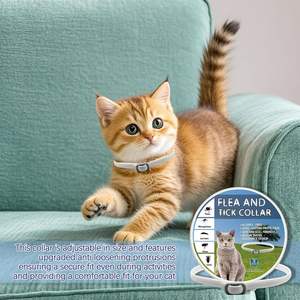 <span class=keywords><strong>Collar</strong></span> <span class=keywords><strong>Antipulgas</strong></span> y Garrapatas para Gatos, Ajustable, Impermeable, de Silicona, Ecológico, Protección Duradera y Segura para Gatos y Gatitos - Product Image 3