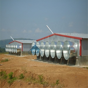 Poulailler pour 10000 poulets structure préfabriquée en acier à structure légère poulailler bâtiment de ferme avicole - Product Image 3