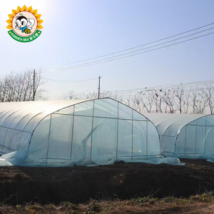 ฟิล์มพลาสติกสำหรับโรงเรือนปลูกพืชแบบอุโมงค์ ยี่ห้อ Garden Bee รุ่น Innovative Tunnel ป้องกันฝ้าและกระจายแสง - Product Image 3