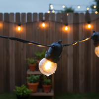 Guirlandes lumineuses étanches IP65 avec ampoules LED en plastique incassable, connectables pour les fêtes, les festivals et les jardins