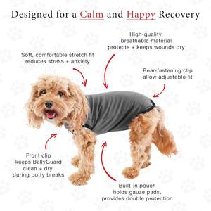 Ropa Postoperatoria para Perros y Gatos, Pantalones Teddy para Golden Retriever y <span class=keywords><strong>Schnauzer</strong></span>, Todas las Temporadas, Europa, Éxito de Ventas Transfronterizo - Product Image 3