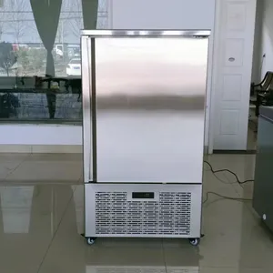 Commercial Gelato Ice Cream Blast Chiller 5/8/10/12 Trays Quick Freezer Fast Freezing Compressor 220V Refrigerator Machine