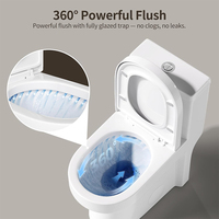 Vente en gros de toilettes monobloc en céramique au design moderne avec siège à fermeture douce, adaptées aux salles de bain contemporaines