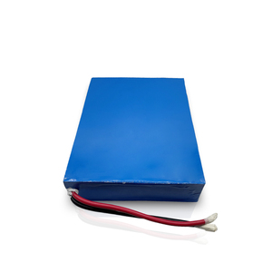 ชุดแบตเตอรี่ลิเธียมโพลิเมอร์ 48V แบบกำหนดเอง รุ่น 1265135-16S2P 51.2V 20Ah สำหรับ - Product Image 3