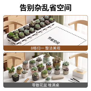 Pots à fleurs carrés peu profonds Airi Shield PP avec plateau, lot de 8, support de drainage pour la collecte de l'eau, pour plantes succulentes, maison, balcon - Product Image 3