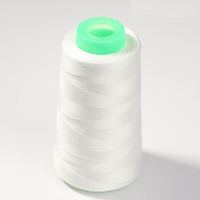 Fil à coudre en polyester filé 20/2 en gros d'usine, haute ténacité, couleurs variées, fil en cône pour broderie de vêtements et couture domestique