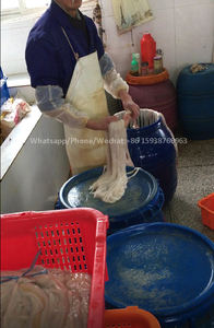 Máquina para Lavar Tripa de Cerdo, Máquina para Limpiar Tripa de Oveja y Cerdo - Product Image 3