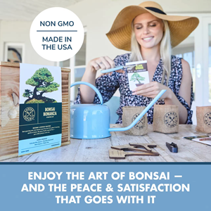 Idée de cadeau de Noël insolite Kit complet de démarrage d'arbre de bonsaï de <span class=keywords><strong>jardinage</strong></span> d'intérieur pour femmes Design artificiel Décoration Plantation - Product Image 4