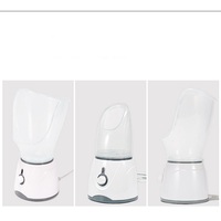 Vaporizador facial eléctrico para el hogar, vaporizador facial profesional 2 en 1, nano tecnología iónica 2 en 1 para cara y nariz, 50ML Ltd.