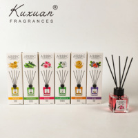 Diffuseur de parfum d'ambiance luxueux AIRBRC de 50 ml : Élimine les odeurs et sert de décoration moderne et élégante