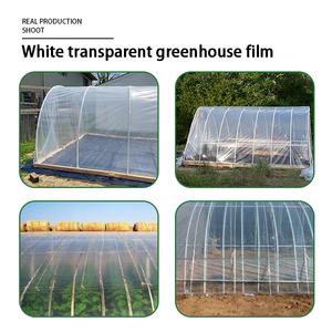 Rõ ràng đường hầm nhựa nhà Kính phim cho nông nghiệp tùy chỉnh cắt dịch vụ bao gồm - Product Image 2