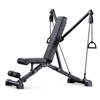 Banc de fitness pliable réglable en acier tubulaire pour exercices abdominaux et assis-debout, idéal pour la maison et la salle de sport intérieure