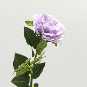 Haute qualité Real Touch thé <span class=keywords><strong>Rose</strong></span> hydratant fleurs artificielles pour noël mariage saint valentin décorations de fête de jardin - Product Image 2