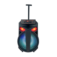 Haut-parleur passif de 12 pouces pour home cinéma, 5.0 20W sans fil, avec télécommande LED RGB, karaoké, prise en charge de 2 micros
