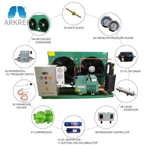 ARKREF कारखाने की आपूर्ति 3HP 4HP 5HP 6HP 9HP 12hp ठंडे कमरे के लिए Bitzer कंप्रेसर हवा इकाई संघनक ठंडा