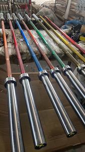 מוט משקולות סטנדרטי איכותי מותאם אישית של דינואו, עשוי מסגסוגת פלדה, 20 ק\\\"ג עם מסבים ועומס מקסימלי של 2000 ליברות - Product Image 5