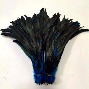 하이 퀄리티 염색 수탉 꼬리 깃털 카니발 장식을위한 다채로운 닭 깃털 - Product Image 5