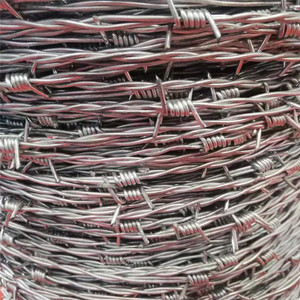 <span class=keywords><strong>ลวดหนาม</strong></span> Roller 12.5 Gauge ดิบวัสดุ<span class=keywords><strong>ลวดหนาม</strong></span> - Product Image 1