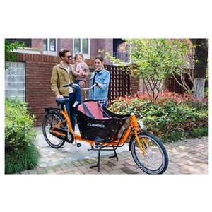 Vélo cargo classique à deux roues pour enfants, bicyclette <span class=keywords><strong>shimano</strong></span> N3SP avec boîte avant, pour adultes, 20 pouces - Product Image 1