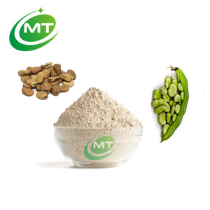 Protéine d'Isolat de Haricot Large de Haute Qualité, Approvisionnement en Usine, Vente en Gros, 90% de Protéines / Protéine de Haricot Faba / Poudre de Protéine de Haricot Fava - Product Image 4