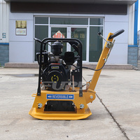 Vente directe d'usine moteur à essence/compacteur à plaques portable pour moteur diesel