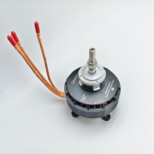 Dualsky ga4000 V2 180kv/210kv 35-40cc công suất cao không chổi than 120e-140e lớp 3D máy bay chuyển đổi điện tử xăng máy bay cánh cố định - Product Image 2