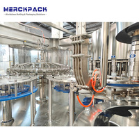 Ligne de production automatique d'eau minérale et de boissons 12000 BPH, machine de soufflage, remplissage, bouchage, étiquetage et emballage PET 3 en 1 haute précision
