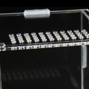 Terrario in Acrilico per Insetti, per Tarantole, Lumache, Mantidi, Rane e Piccoli Rettili - Product Image 2