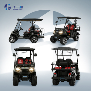 Carrito de Golf de 4 Plazas a Precio de Mayoreo, Club Car Buggy Cats con Certificación CE, Diferencial con Eje Trasero de Aluminio - Product Image 4