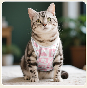 Tuta di recupero gatto vestiti gattino gatti dopo l'intervento chirurgico tuta di Spay chirurgico per gatti donna Post-chirurgia o malattie <span class=keywords><strong>della</strong></span> pelle protezione - Product Image 3