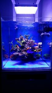 Akuarium Plastik 2m Panjang, Tangki Ikan Rumah Tangga, Akuarium Kaca Besar - Product Image 5