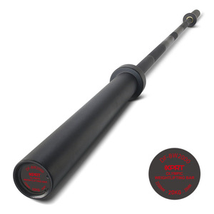High Quality Steel Straight Curl Barbell