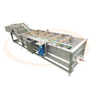 Laveuse de fruits et légumes entièrement automatique à ozone en acier inoxydable avec nettoyage par bulles d'air, état neuf, composant moteur essentiel - Product Image 4