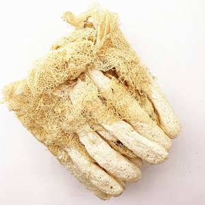 Jamur Bambu Kering Phallus Impudicus Alami Pilihan & ZhuSun - Product Image 3