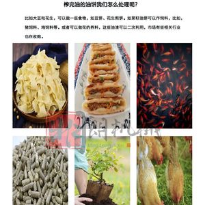 <b>Oil</b> <b>Press</b> 100 Type Horizontal Soybean <b>Oil</b> Extraction <b>Machine</b> Carbon Steel Manual Operation Complete Set For Edible <b>Oil</b> - Product Image 5