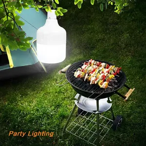 Outdoor LED camping lights solar street light Led Night Lamp with 9.5W solar panel