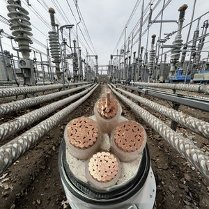 Cable de alimentación de núcleo de cobre retardante de llama estándar nacional de 0,6/1kv 3x185 + <span class=keywords><strong>1x95</strong></span> - Product Image 1