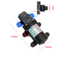 Pompa Diafragma Mini Sistem Pengabutan Elektrik 12V 24V 60W 5L/menit Self-priming Dengan Proteksi Aliran Balik