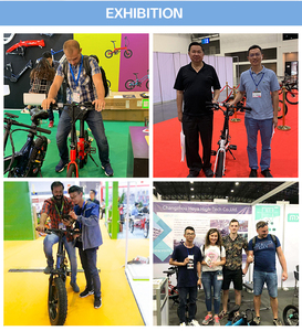 Vélo <span class=keywords><strong>cargo</strong></span> électrique familial 20 pouces, moteur central 36V 250W, siège bébé, freins hydrauliques, cadre en aluminium aviation, batterie au lithium - Product Image 4