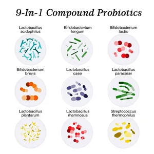 AMULYN จัดหาโปรไบโอติกคอมเพล็กซ์เก้าสายพันธุ์ 9-In-1 ผงโปรไบโอติกผสม 10-100 พันล้าน CFU / g